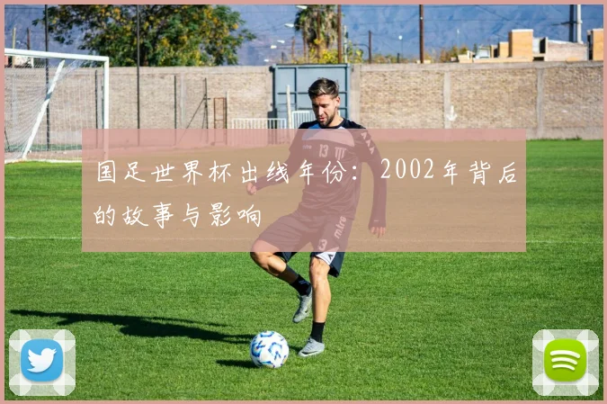 国足世界杯出线年份：2002年背后的故事与影响