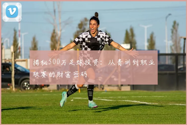 揭秘500万足球投资：从青训到职业联赛的财富密码