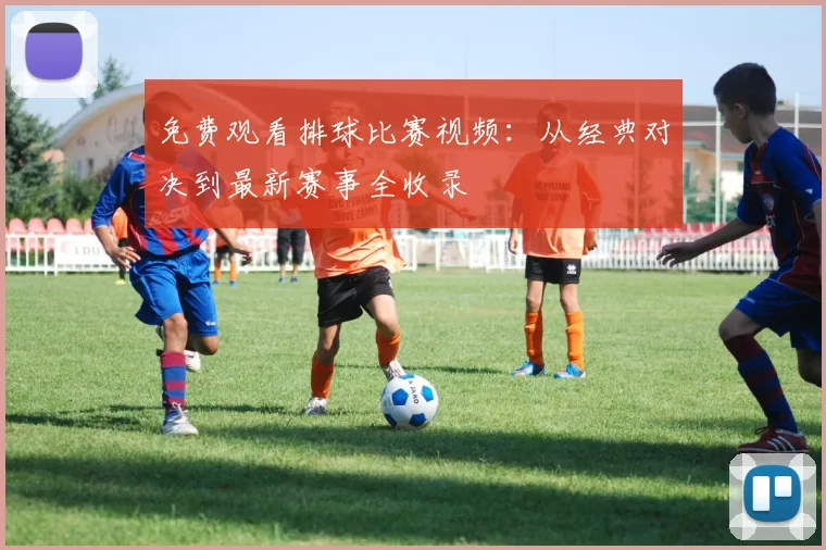 免费观看排球比赛视频：从经典对决到最新赛事全收录